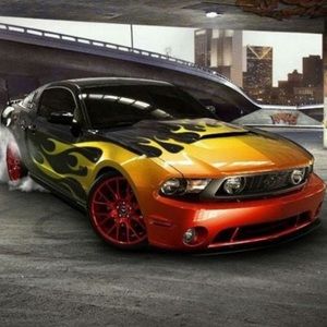 Meet your Posher, Greg